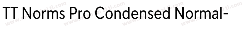TT Norms Pro Condensed Normal字体转换